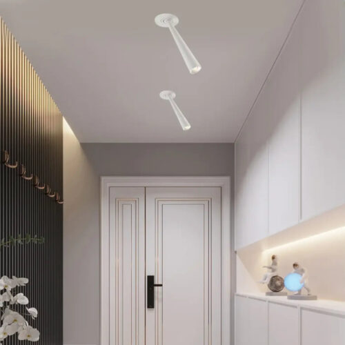 Luminaire Plafonnier | DAUVUS