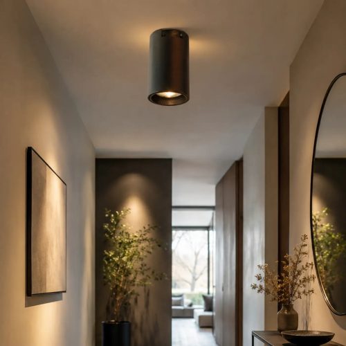 Luminaire Plafonnier | ALECO