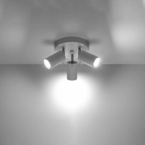 Luminaire Plafonnier | RING 3P (Blanc)