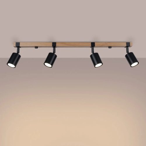 Luminaire Plafonnier | FAGES 4L (Noir)