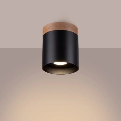 Luminaire Plafonnier | RIV (Noir)