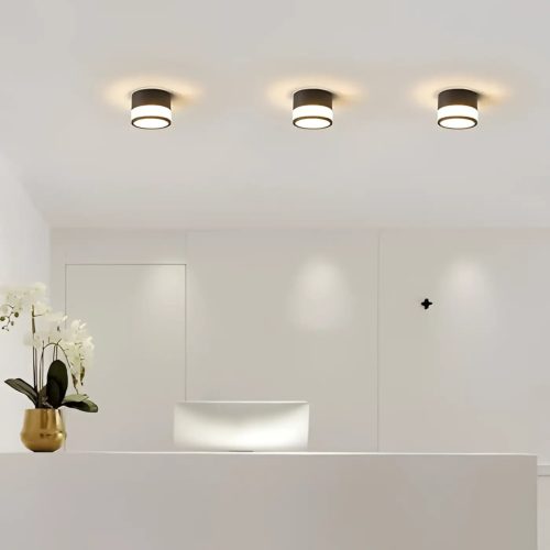 Luminaire Plafonnier | EBLOUIA